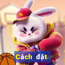 Cách đặt cược XSTB ngày 27