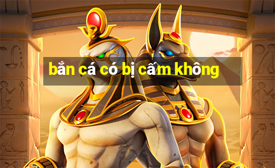 bắn cá có bị cấm không