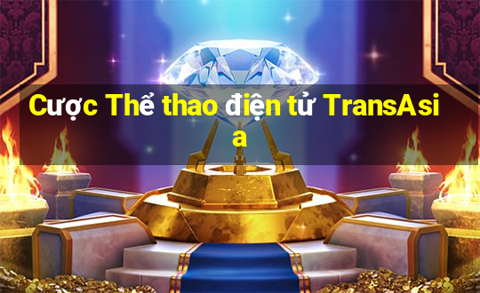 Cược Thể thao điện tử TransAsia