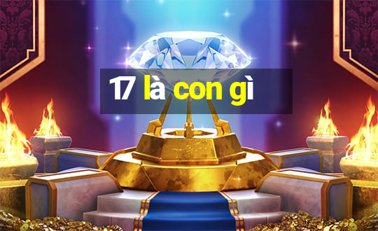 17 là con gì