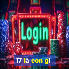 17 là con gì