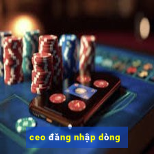 ceo đăng nhập dòng