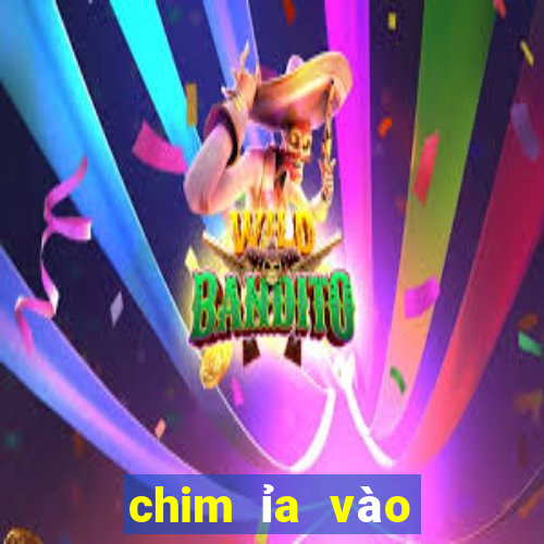 chim ỉa vào người là điềm gì