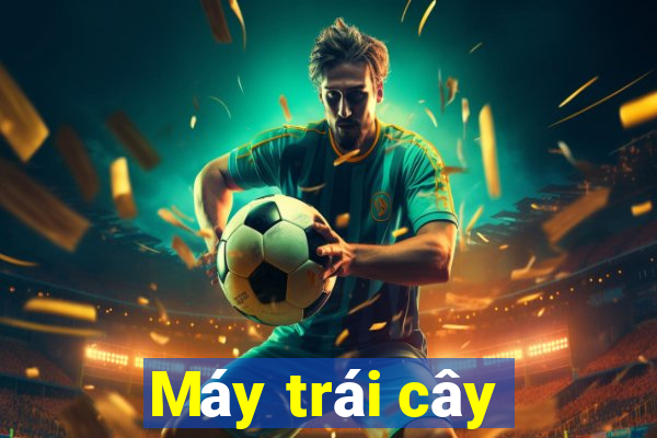 Máy trái cây