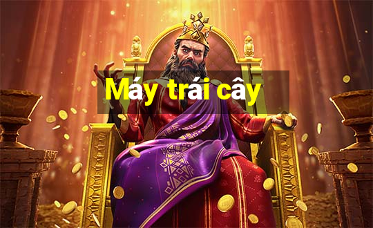 Máy trái cây