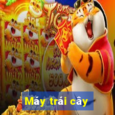 Máy trái cây