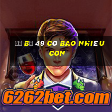 đề bộ 49 có bao nhiêu con