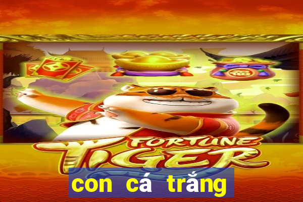 con cá trắng số mấy