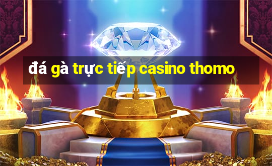 đá gà trực tiếp casino thomo