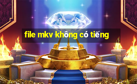 file mkv không có tiếng