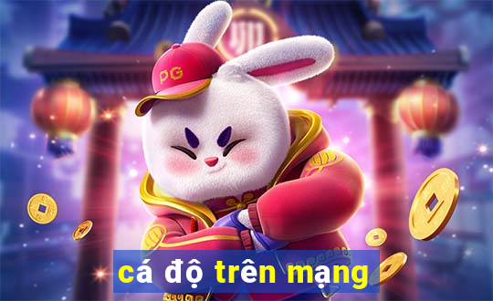 cá độ trên mạng