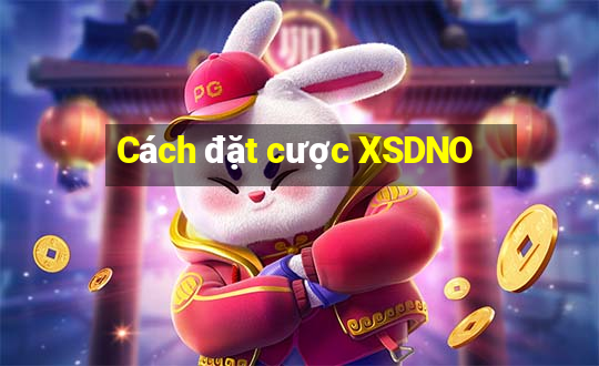 Cách đặt cược XSDNO