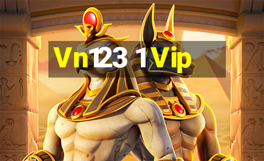 Vn123 1 Vip