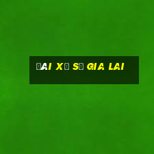 đài xổ số gia lai