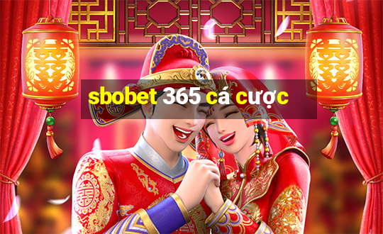 sbobet 365 cá cược