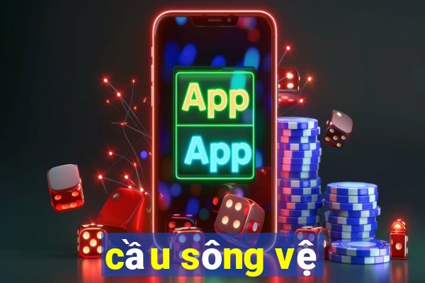 cầu sông vệ