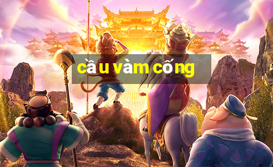 cầu vàm cống