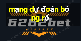 mạng dự đoán bóng rổ