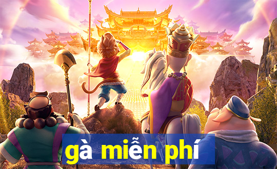 gà miễn phí