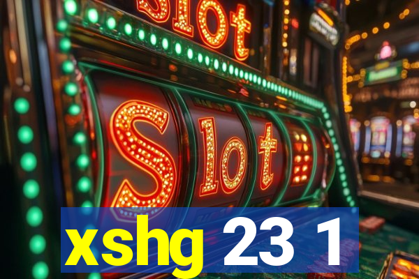 xshg 23 1