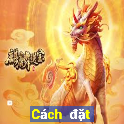 Cách đặt cược XSKT ngày 20