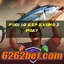 nuôi lô kep khung 2 ngày