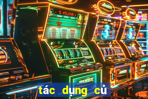 tác dụng củ gai tươi