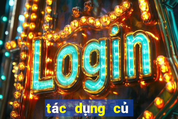 tác dụng củ gai tươi