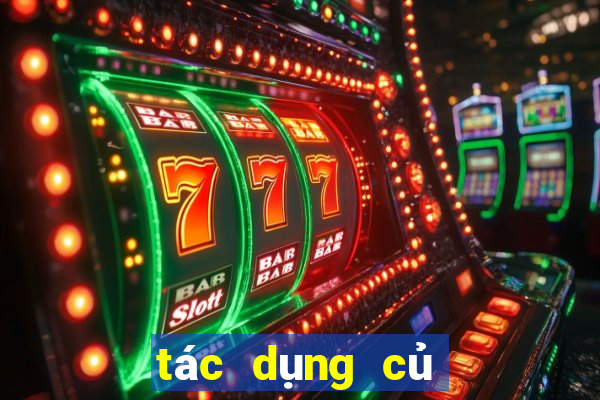 tác dụng củ gai tươi