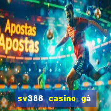 sv388 casino gà đòn đòn trực tiếp