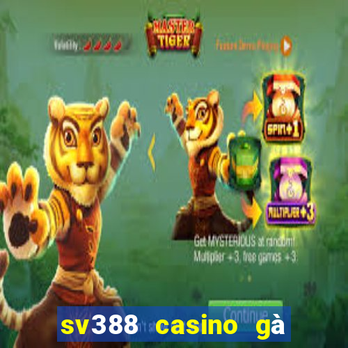 sv388 casino gà đòn đòn trực tiếp