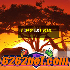 tổng đài rik