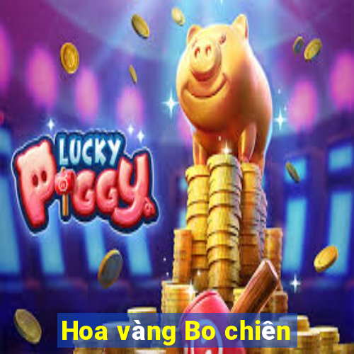 Hoa vàng Bo chiên