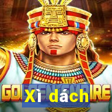 Xì dách