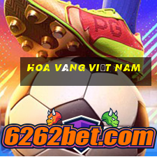 Hoa vàng việt nam