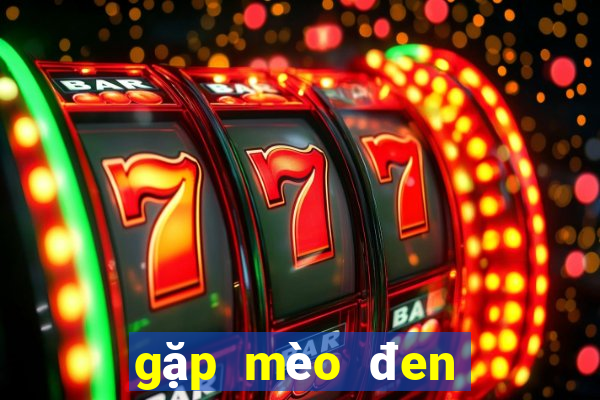 gặp mèo đen đánh con gì