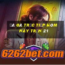 đá gà trực tiếp hôm nay trận 21