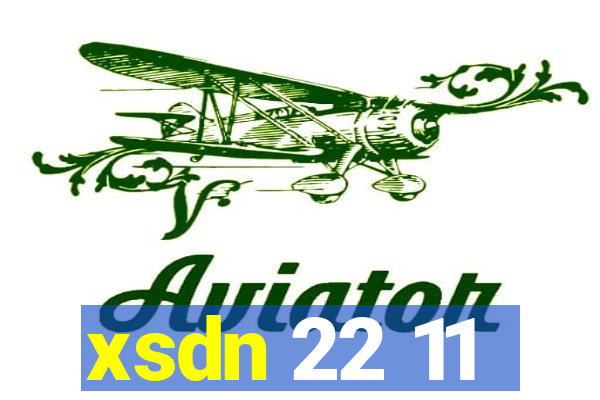 xsdn 22 11