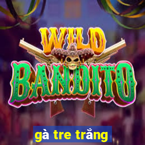 gà tre trắng