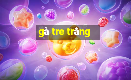 gà tre trắng