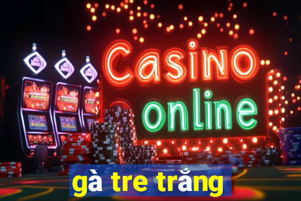 gà tre trắng