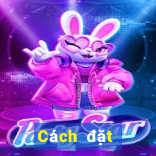 Cách đặt cược XSLD Thứ 7