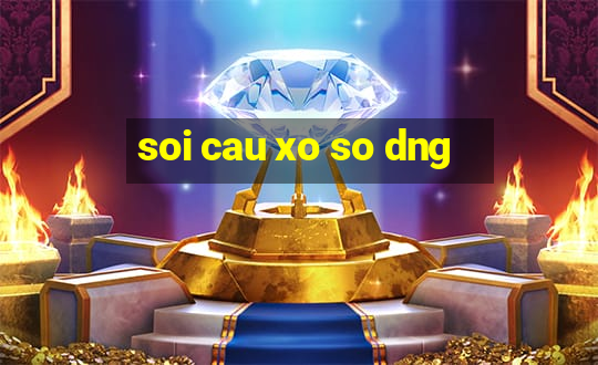 soi cau xo so dng