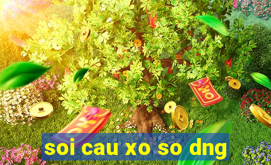 soi cau xo so dng