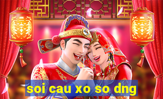 soi cau xo so dng