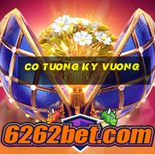 co tuong ky vuong