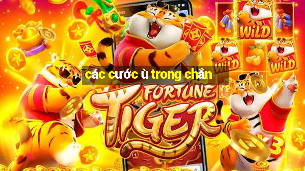 các cước ù trong chắn