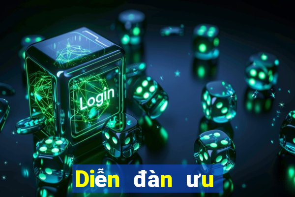 Diễn đàn ưu đãi bắp cải