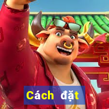 Cách đặt cược XSKT ngày 9