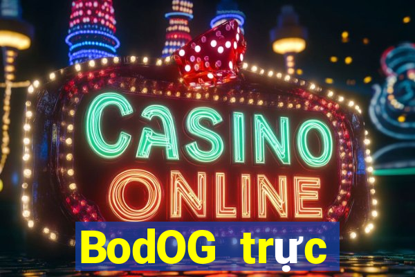 BodOG trực tuyến chó